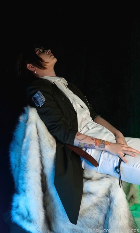 Fukuro_ estrella galería