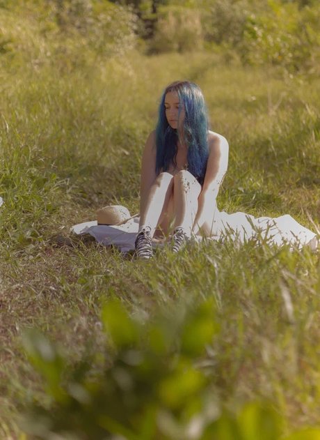 Losex art étoile collection