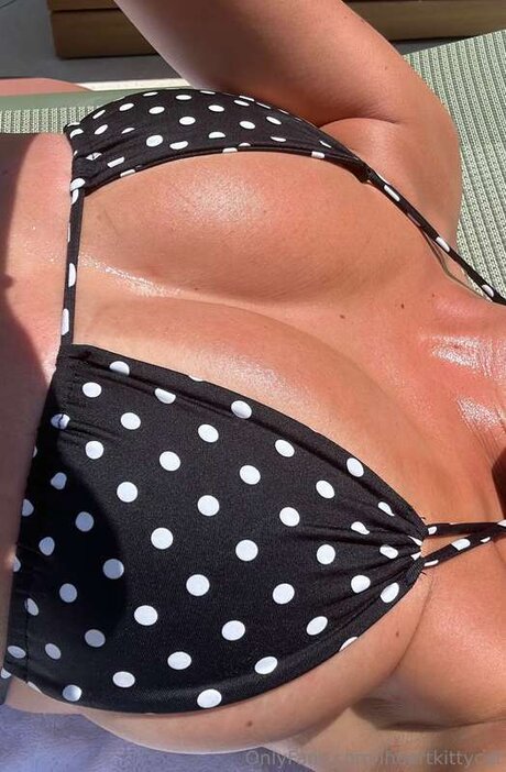 Iheartkittycat estrella de alta calidad foto