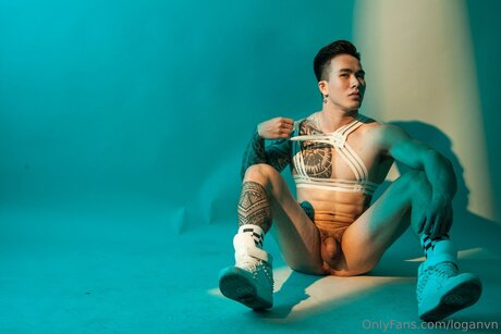 Loganvn bonita estrella porno recopilación