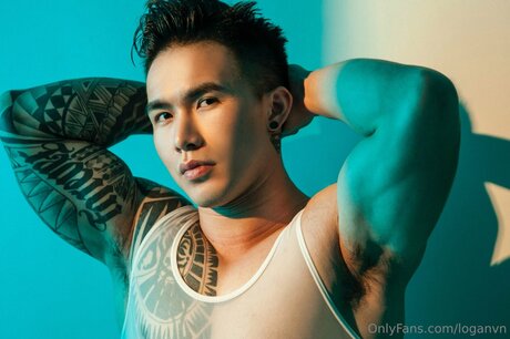 Loganvn modelo de alta calidad imágenes