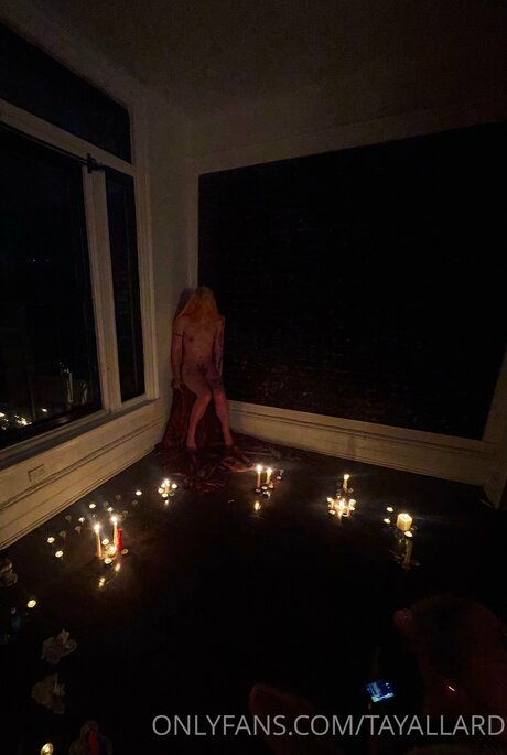 Tayallard Imagen de perfil