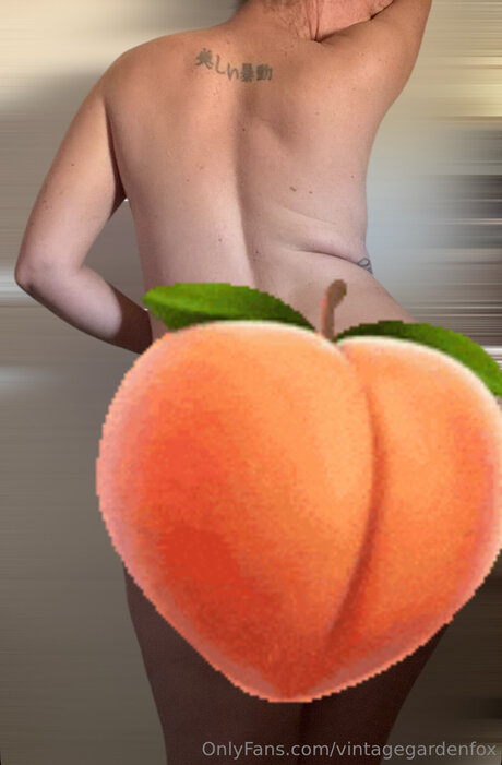 Onlyfans de gorditas negras exclusivo gratis imagen