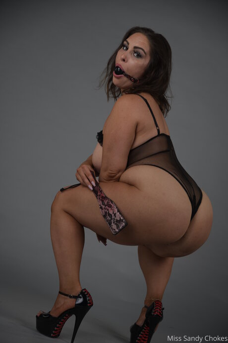 Freesandychokes star erotic pictures