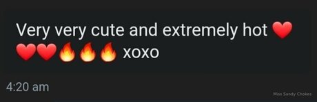 Freesandychokes star du porno sympa image