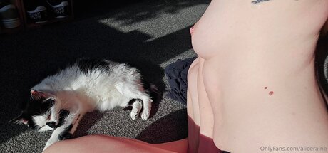 Aliceraine actrice érotique archive