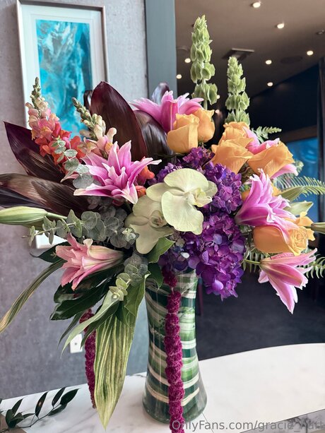 Gracie Hart modelo atractivo galerías