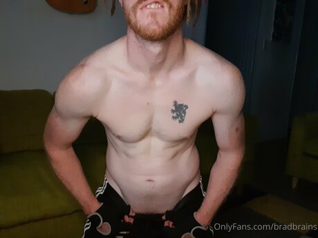 Bradbrains sex pornstar images