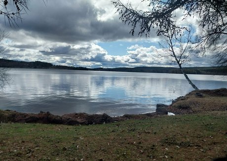 softchili actrice adulte photo