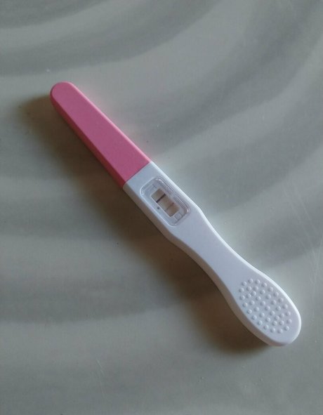 softchili nus étoiles galeries