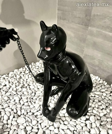 alexlatex mx top model pic