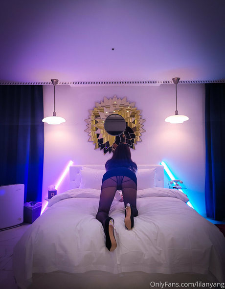 lilanyang art star du porno galerie