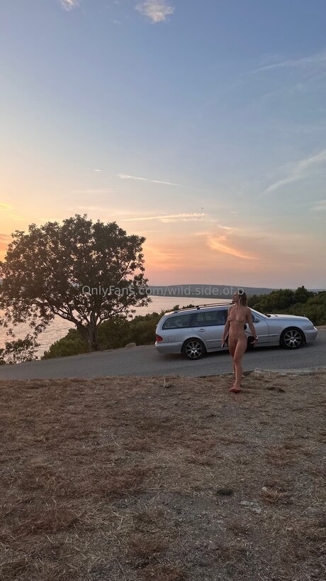 wild side of b modelo de alta calidad galerías