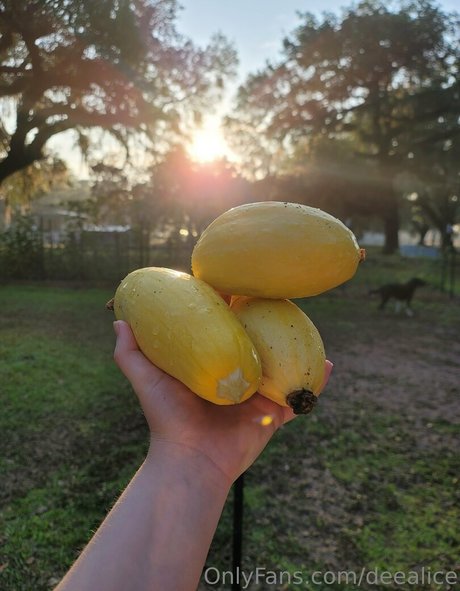 deealice actriz de alta calidad galerías