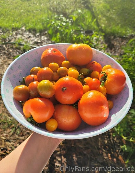 deealice estrella porno de arte galería