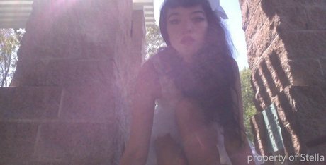 stellaaeternum modèle gratuit photo