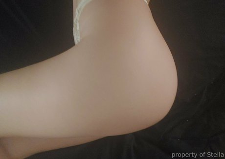 stellaaeternum estrella archivo