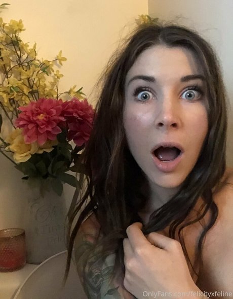 felicityfeline estrella pornografica recopilación