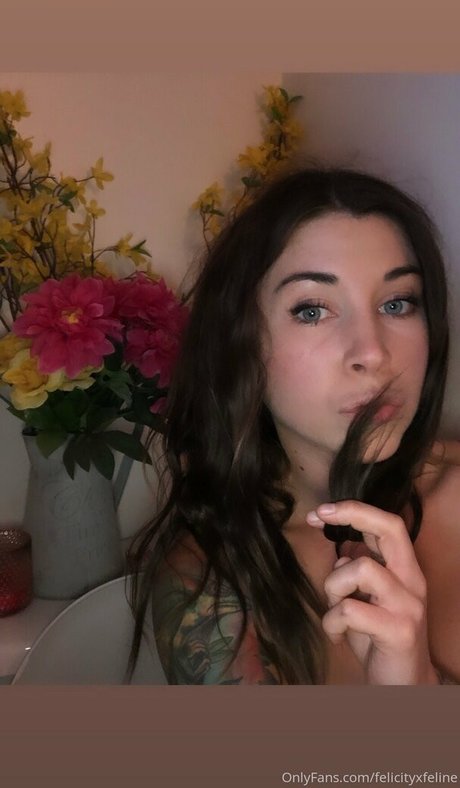 felicityfeline porn actress img