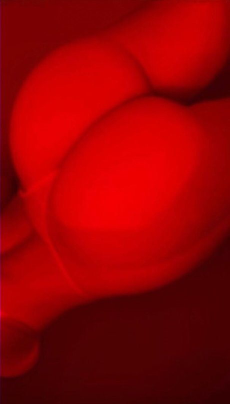 Brimarcos star du porno gratuite img