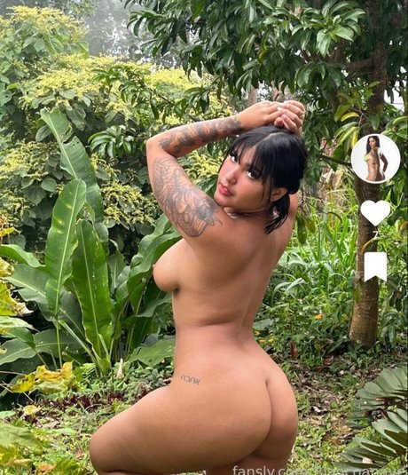 blancoanave étoile chaude des photos