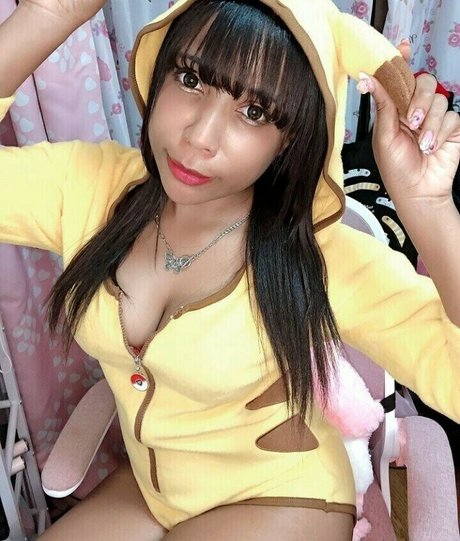 Arijapan étoile adulte photo