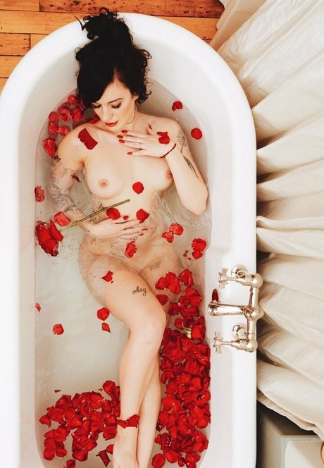 diaryforlovers estrella imágenes