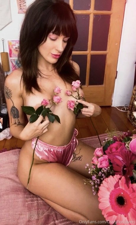 diaryforlovers libre de estrellas galerías