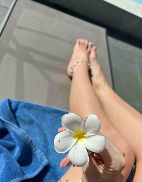 sweet polly desnudos estrella archivo