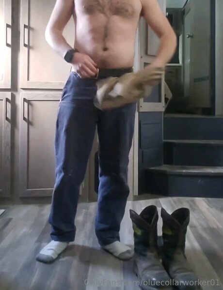 Bluecollarworker01 estrella de alta calidad foto