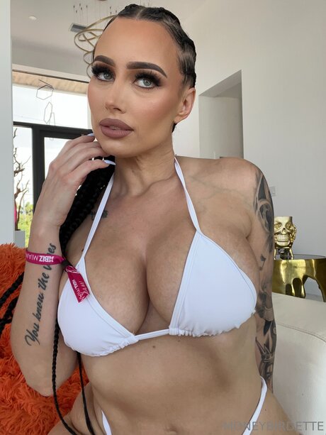 Moneybirdettevip modelo libre archivo