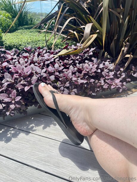 Alexlongtoes Miniatura