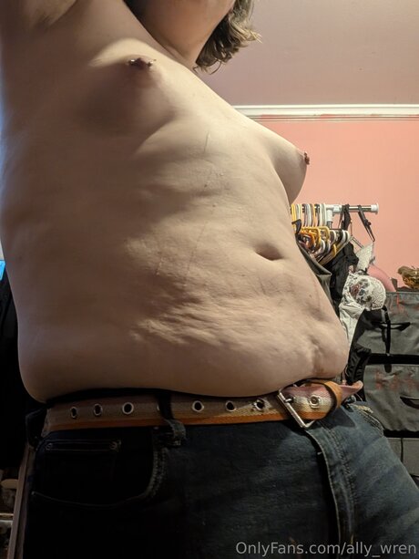 Ally Wren modelo hermosa imagen