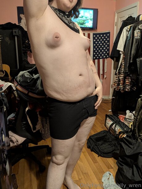 Ally Wren modelo gratis archivo