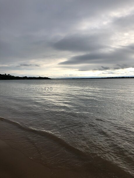 Iva420 modèle de haute qualité galerie