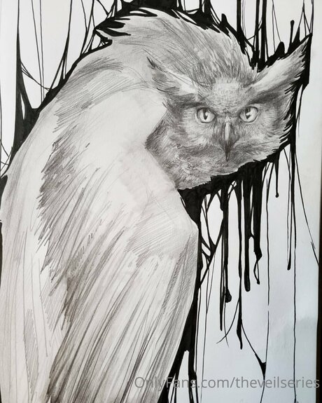 Theveilseries bonita estrella porno galerías