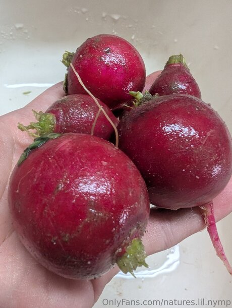 Natures Lil Nymp star érotique galerie