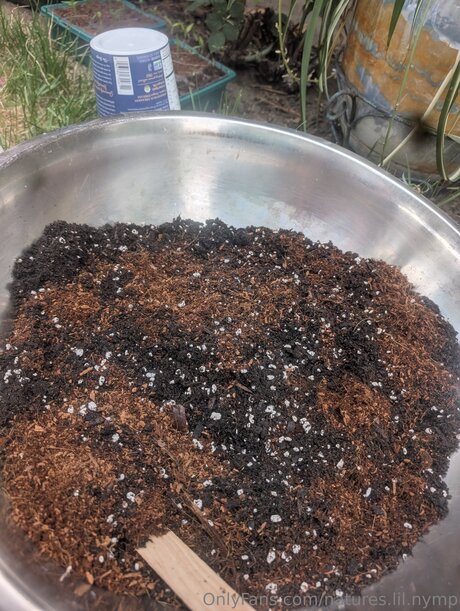 Natures Lil Nymp modèle hd des photos