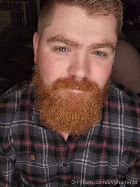 Avghammer estrella pornografica recopilación