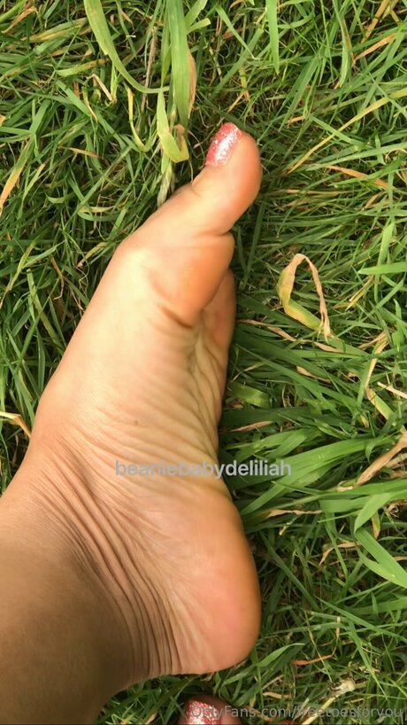 Freetoesforyou pornstar art archive