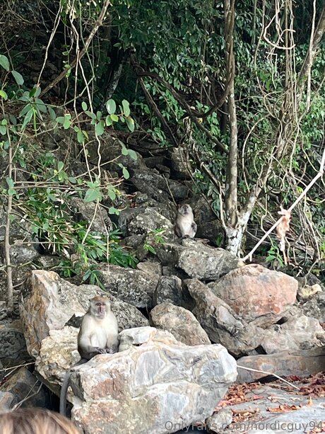 Nordicguy94 star du porno exclusive galerie