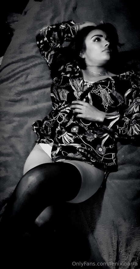 Fenixibarra estrella atractiva galería