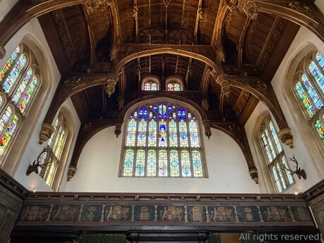 Travelsunshine estrella porno mejor galería