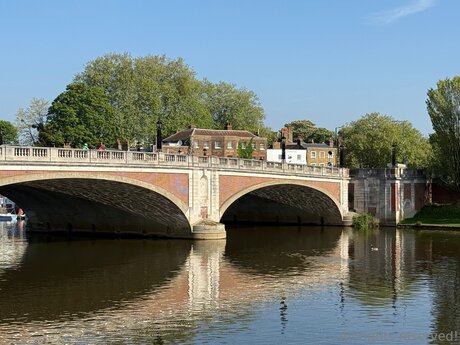 Travelsunshine estrella perfecta imagen