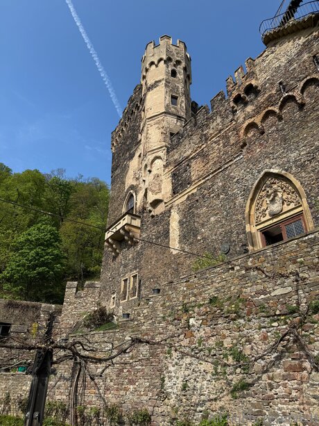 Travelsunshine modelo agradable recopilación