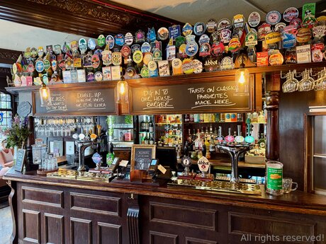 Travelsunshine nus star du porno photos