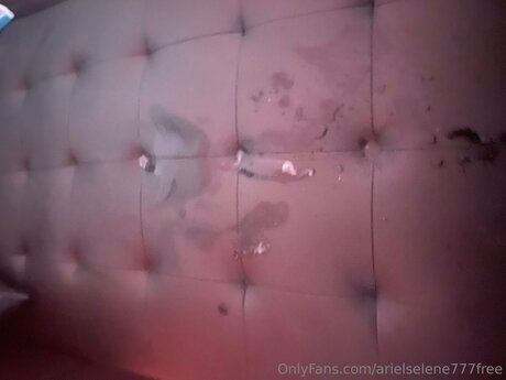 Exoticadolll estrella xxx galerías