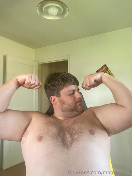 Thebulkinghog étoile de l'art img