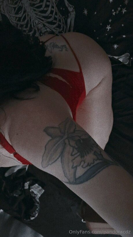 Pandoracdz pornographic star img