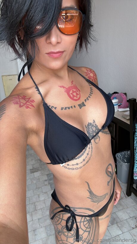 Salandersg hermosa estrella galerías